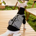 Sphynx Cat Vest 3 Color Devon Hairless Cat Clothes - Image 15
