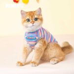 Mrduanju Rainbow Cat Vest Warm Pet Clothes