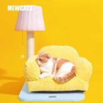 Cat Bed Couch Scratching Furniture Sofa