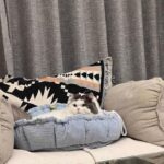Clouds Petals Cat Bed 3 Colors Adjustable Mat - Image 9