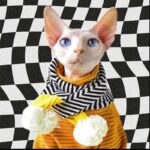 Striped Warm Sphynx Cat Bottom Shirt Clothes - Image 5