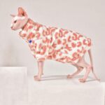 Pink Leopard Print Sphynx Cat Sweatshirt Clothes - Image 7