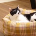 Vintage Plaid Cat Sofa Square Cat Bed - Image 9