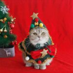 Christmas Cat Clothes Cute Hat Bib - Image 4