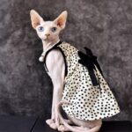 Airy Sphynx Floral Halter Dress Cat Clothes - Image 3