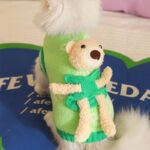 Cat Clothes 2 Style Warm Bear Rabbit Sweater - Image 3