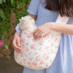 Candy Cat Sling Outdoor Tote 5 Color Carrier Bag - Image 6