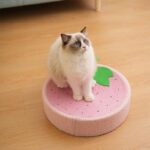 Cute Pig Cat Bed Round Scratching Pad - Image 8