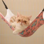 Cat Hammock 3 Color Summer Double Sided Bed - Image 2