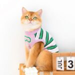 Cat Clothes 3 Color Winter Warm Sweater Vest - Image 3