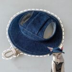 Hairless Cat Clothes Devon 16 Color Sunscreen Sun Hat - Image 22