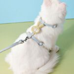 Rabbit Cat Harness Carrier Leash Set 3 Color Travel Cat Lead - Image 2