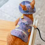 Cowboy Hairless Cat Clothes Hat Sphynx Leash - Image 26