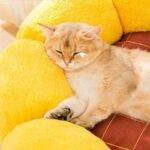 Small Cactus 2 Color Fluffy Warm Cat Bed - Image 11