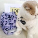 Cat Clothes 3 Color Winter Plush Warm Sweatshirts - Image 12