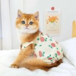 Rustic Cat Pumpkin Pants 2 Color Pet Clothes - Image 8