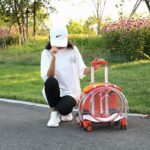 Cat Carrier Backpack With Wheels Transparent Trolley Case - Image 4