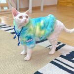 Gradient Sphynx Cat Clothes Warm Hooded Sweater - Image 3