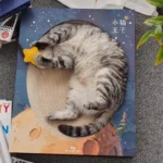 Fantasy Magic Book Cat Scratcher Bed - Image 8