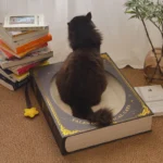 Fantasy Magic Book Cat Scratcher Bed - Image 6