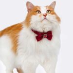 Ruffled Gemstone Bow Cat Collar - Image 8