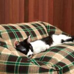 Vintage Plaid Cat Sofa Square Cat Bed - Image 4