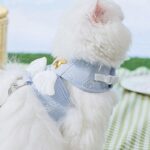 Star Cat harness Wings 2 Color Large Carrier Leash Set - Image 3