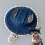 Hairless Cat Clothes Devon 16 Color Sunscreen Sun Hat - Image 21