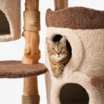 Treehouse Cat Tree for Multiple Cats Climbing Condo - Image 11