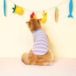 Mrduanju Rainbow Cat Vest Warm Pet Clothes - Image 5