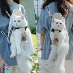 Cat Carrier Front Pack Sling Bag 8 Color Backpack - Image 5