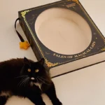 Fantasy Magic Book Cat Scratcher Bed - Image 4