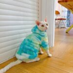 Gradient Sphynx Cat Clothes Warm Hooded Sweater - Image 11