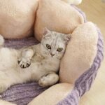 Small Cactus 2 Color Fluffy Warm Cat Bed - Image 4