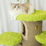 Mushroom Forest Cat Tree Climbing Frame - Image 13