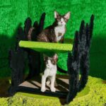 Halloween  Gothic Cat Bed Hammock Green Scratching Board - Image 7