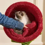 Monster Bloom Cat Tree Climbing Tower - Image 15