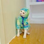 Gradient Sphynx Cat Clothes Warm Hooded Sweater - Image 4