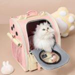 Cute Cat Carriers Foldable 3 Color Bubble Backpack - Image 7