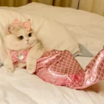Mermaid Cat Costume Funny Photo Prop Clothes - Image 13