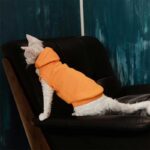 Cat Clothes Sphynx Hairless Cat Hoodie - Image 7