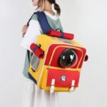 Cat Carrier Bag Portable Large 4 Color Cat Backpack - Image 9
