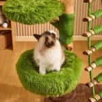 Green Sky Ladder Cloud Climber Cat Tree - Image 7