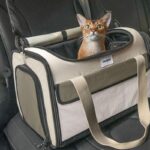 Large Airline Cat Carrier Tote Bag - Image 4