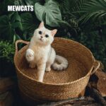 Pure Manual Wicker Cat Bed Four Seasons General