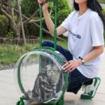 Transparent Cat Trolley With Wheels Rolling Carrier - Image 5