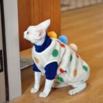Devon Sphynx Hairless Cat Clothes Vest - Image 5