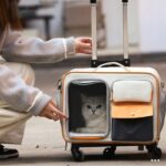 Cat Rolling Carrier Backpack With Wheels Trolley Bag - Image 8