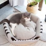 Grey Shark Cat Bed Sponge Pet Cave - Image 2