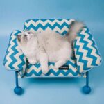 Memphis Pet Sofa Chair Cat Elevated Bed - Image 5